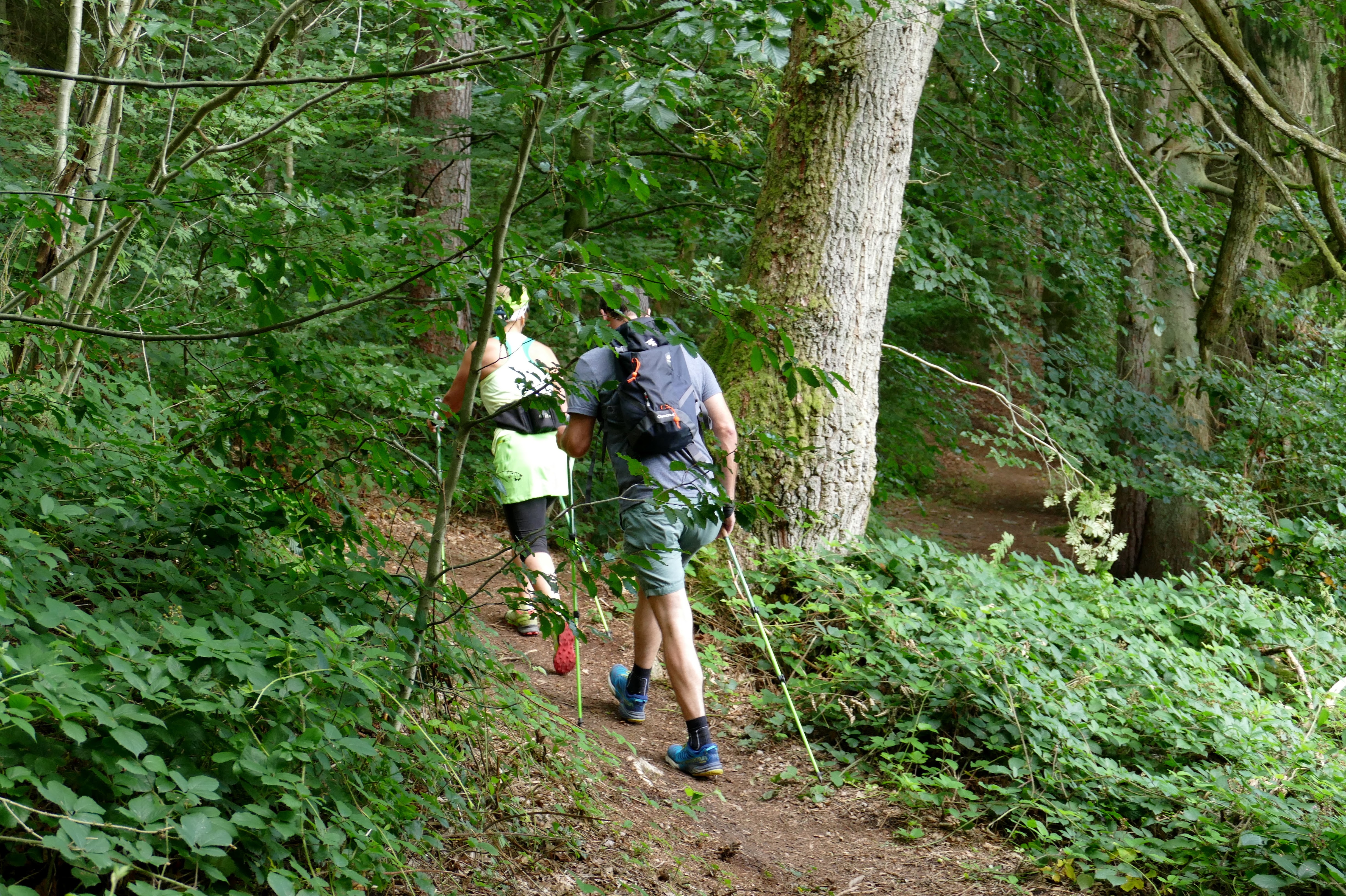 Sainte-Ode, Ardenne Nordic Park