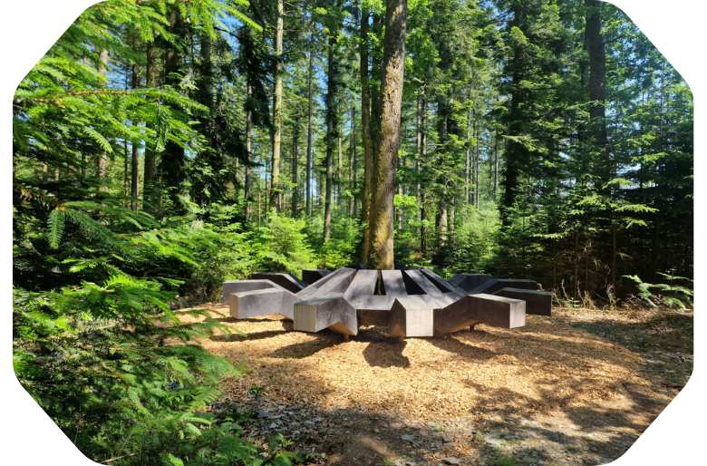Prendre un bain de forêt à Tenneville