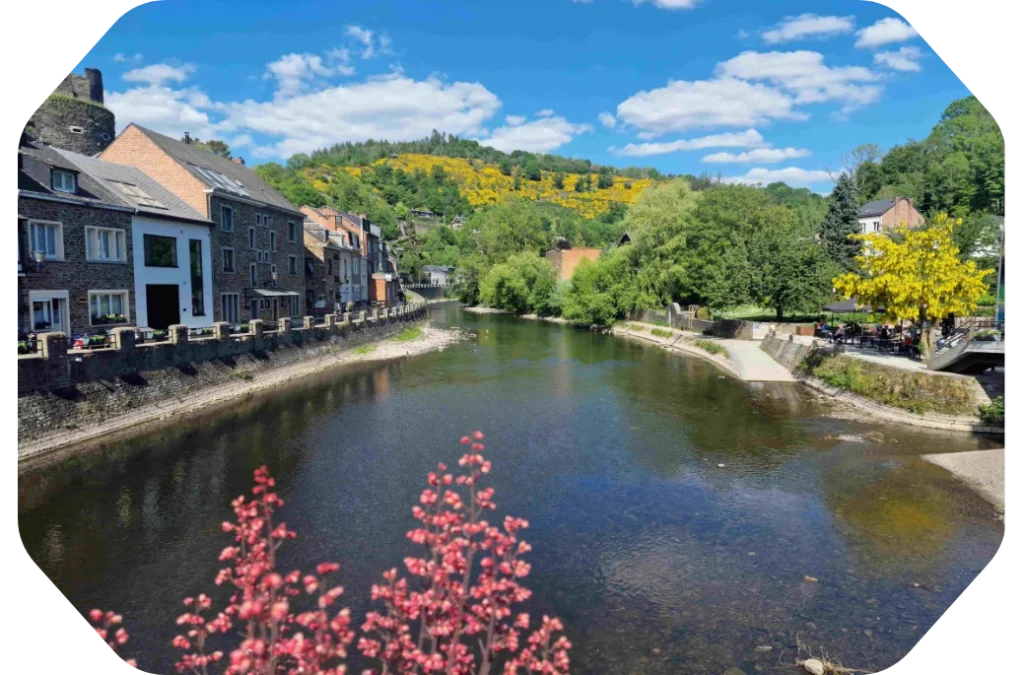 L'ourthe à La Roche-en-Ardenne