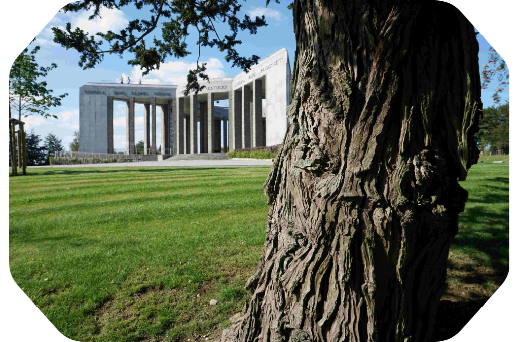 Vue sur la Mardasson à Bastogne