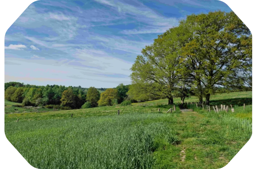 En promenade à pied depuis le gîte La Pommeraie Le Coin Ardenne