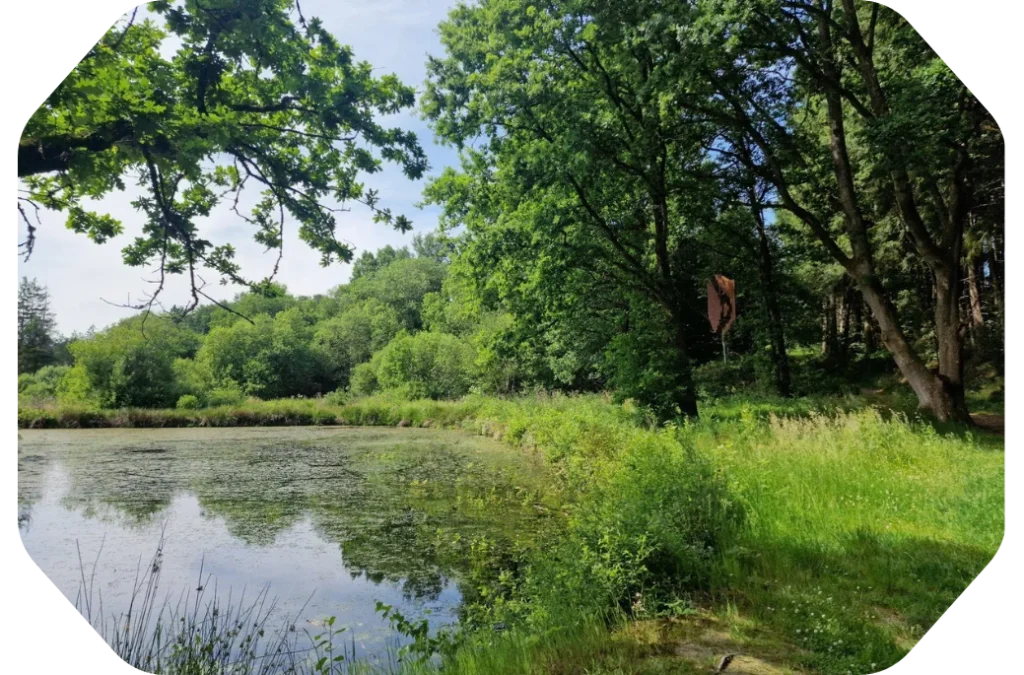 La réserve naturelle d'Orti accessible à pied depuis le gîte La Pommeraie Le Coin Ardenne