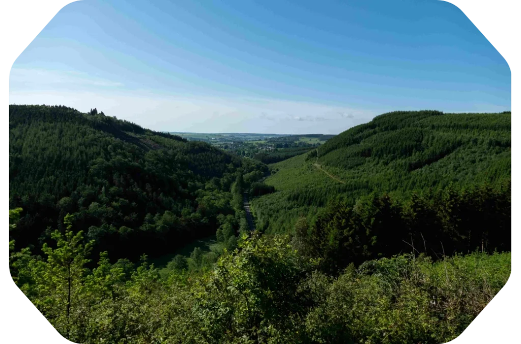 Vue sur Lavacherie en passant par la chapelle de la Bonne Dame