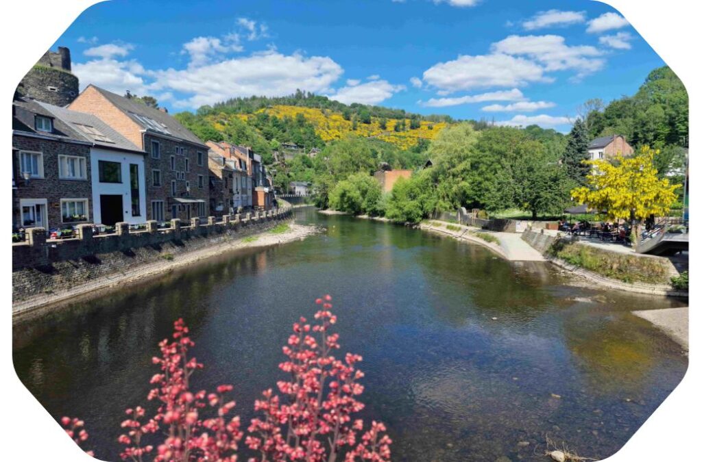 L'Ourthe à La Roche-en-Ardenne