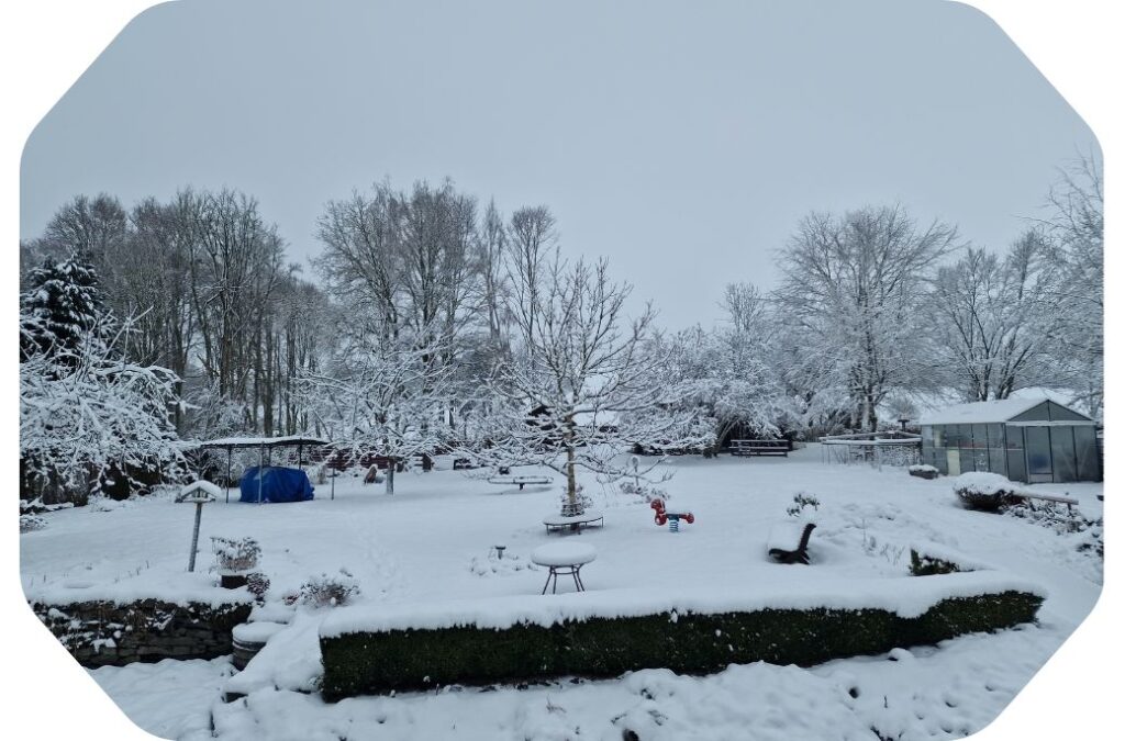 Vue sur le jardin de la Pommeraie en hiver