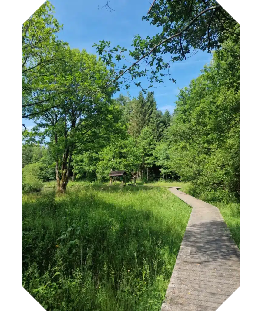 Vue sur la réserve naturelle d'Orti