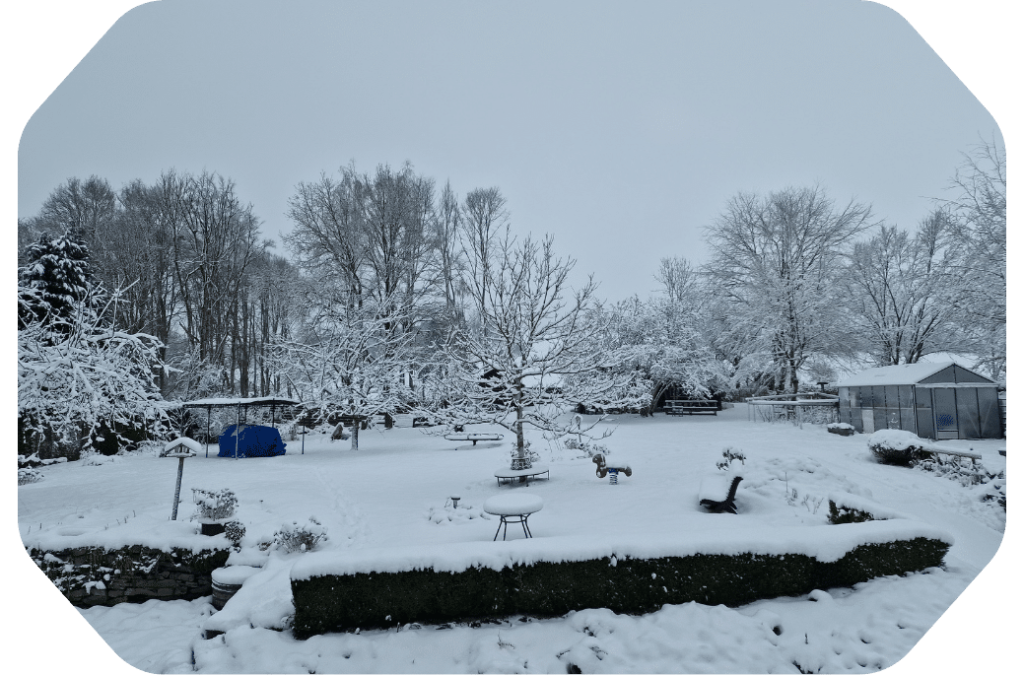 Vue sur le jardin enneigé du gîte La Pommeraie Le Coin Ardenne