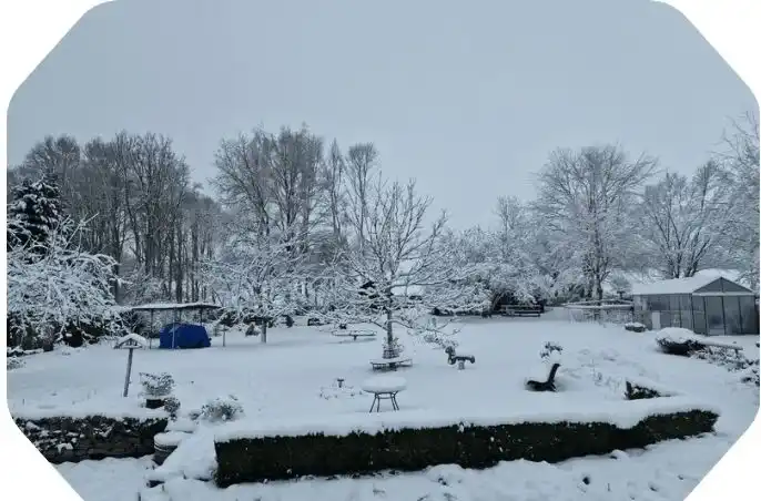 Vue sur le jardin enneigé du gîte La Pommeraie Le Coin Ardenne