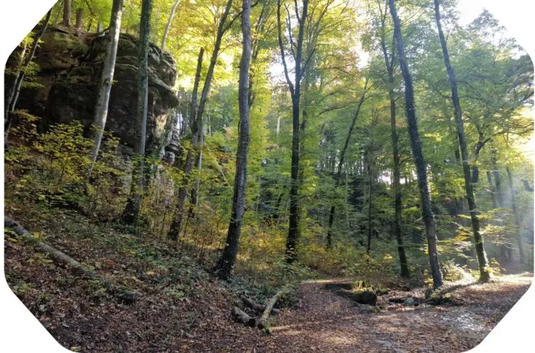 Photo d'illustration sur le Mullerthal