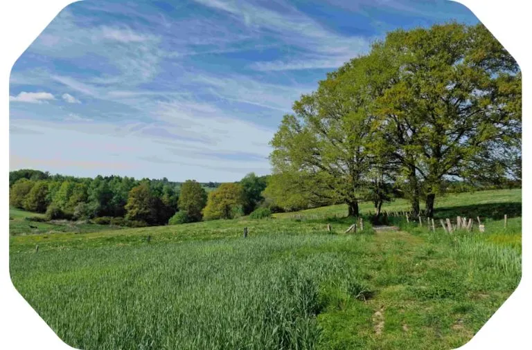 En promenade à pied depuis le gîte La Pommeraie Le Coin Ardenne