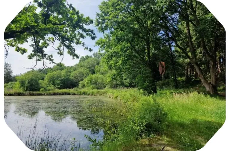 La réserve naturelle d'Orti accessible à pied depuis le gîte La Pommeraie Le Coin Ardenne