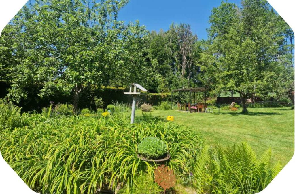 Vue sur le jardin du gîte La Pommeraie Le Coin Ardenne