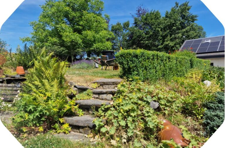 Vue sur le jardin en plein entretien