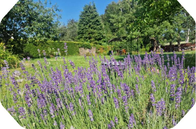Vue sur le jardin