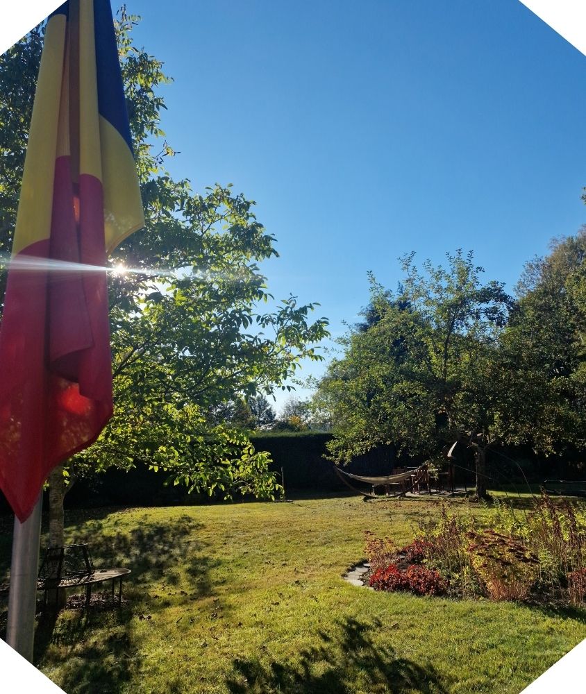 Vue du jardin en automne