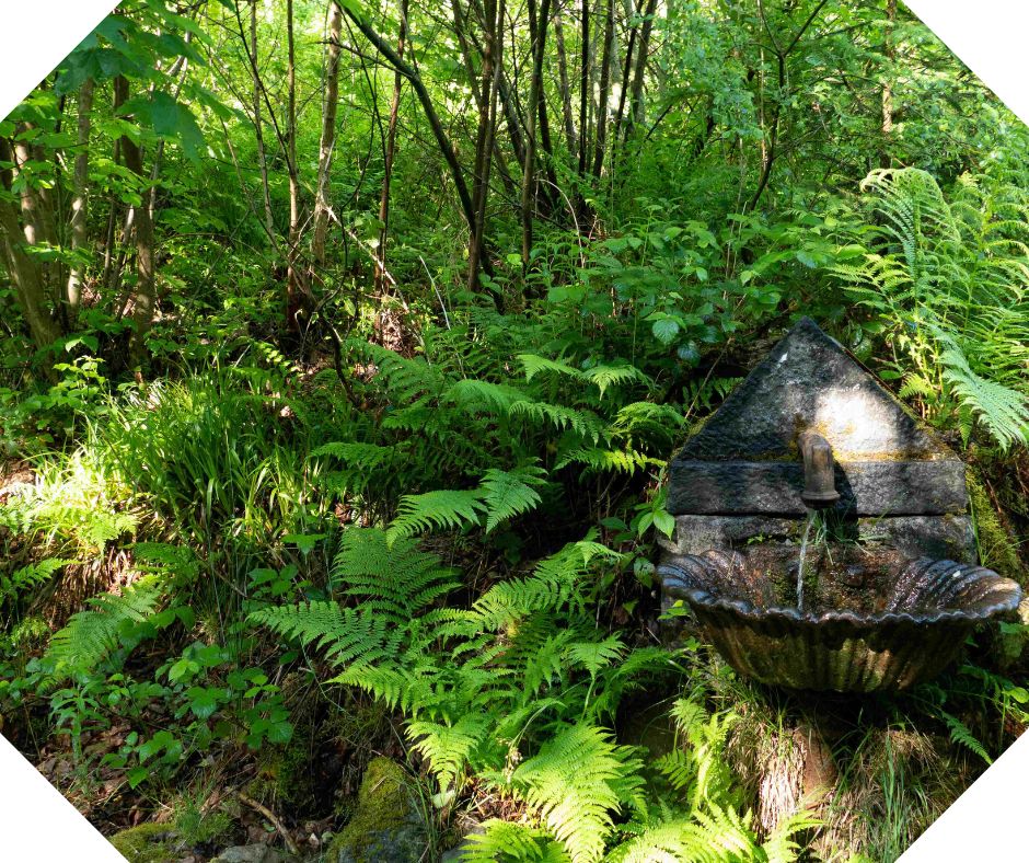 Le long de la promenade de la Bonne Dame et sa source