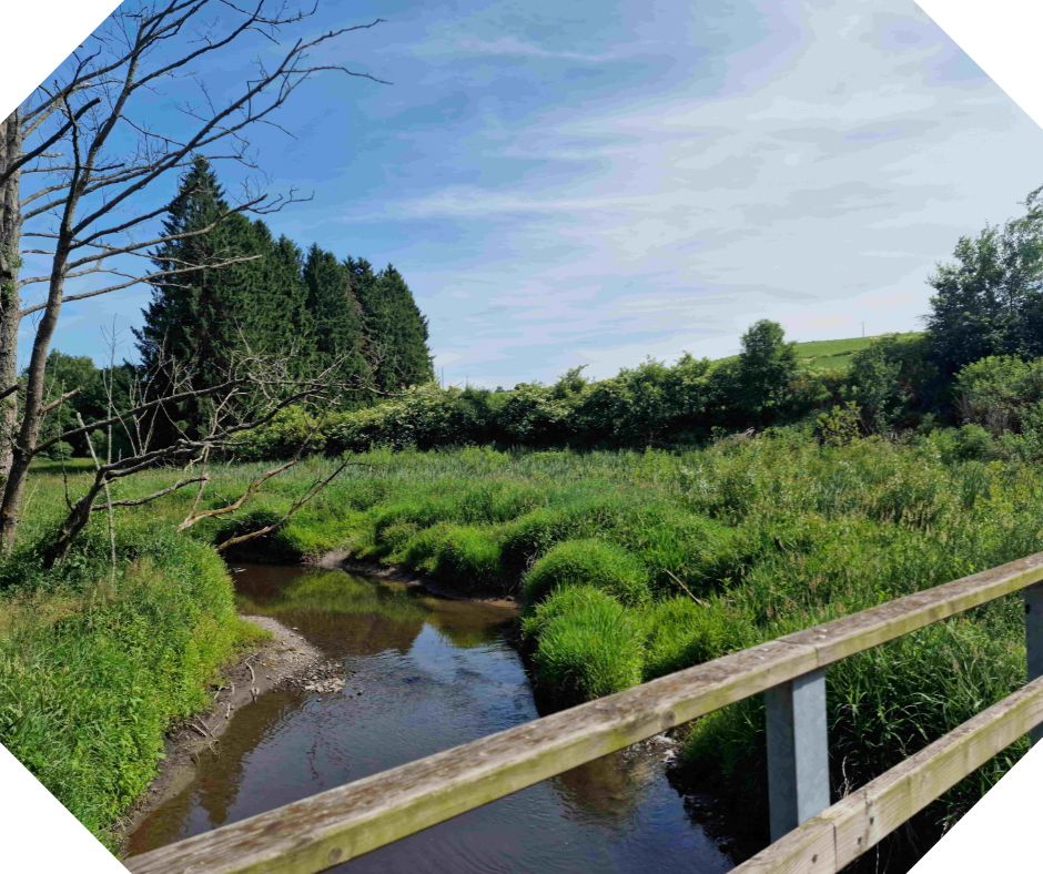 Promenade dans la réserve naturelle d'Orti à proximité du gîte La Piommeraie - Le Coin Ardenne